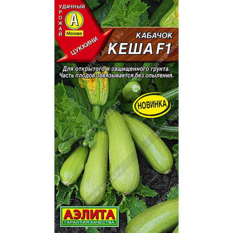 Кабачок Кеша цуккини Аэлита Цх10