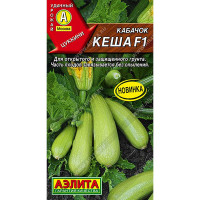 Кабачок Кеша цуккини Аэлита Цх10