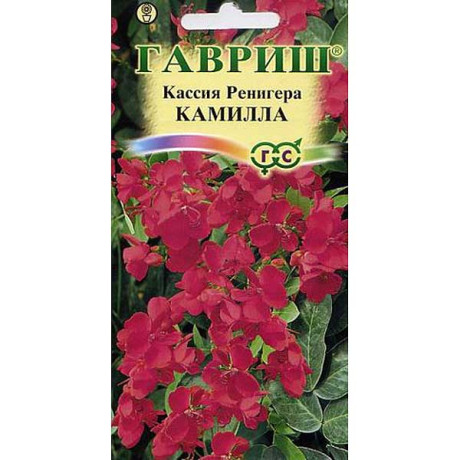 КОМ Кассия Ренигера Камилла Гавриш Ц