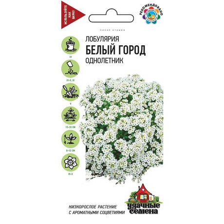 Лобулярия Белый город морская Удач сем Гавриш Ц