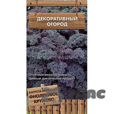 Капуста Фиолетовое кружево листовая Поиск Ц