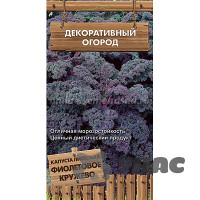 Капуста Фиолетовое кружево листовая Поиск Ц
