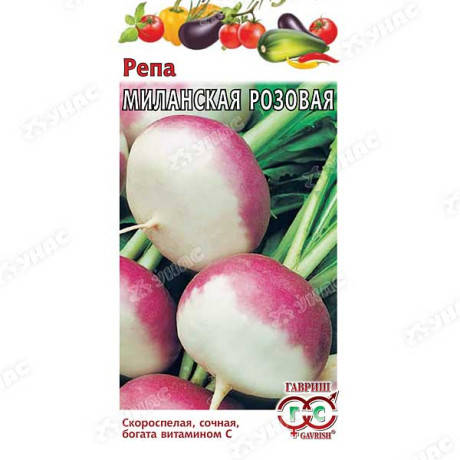 Репа Миланская розовая Гавриш Ц