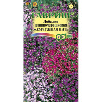 Лобелия Жемчужная нить Гавриш Ц