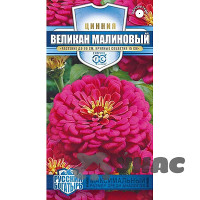 Циния Великан малиновый Гавриш Ц
