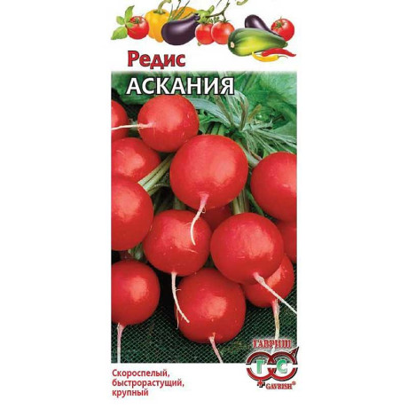 Редис Аскания Гавриш Ц