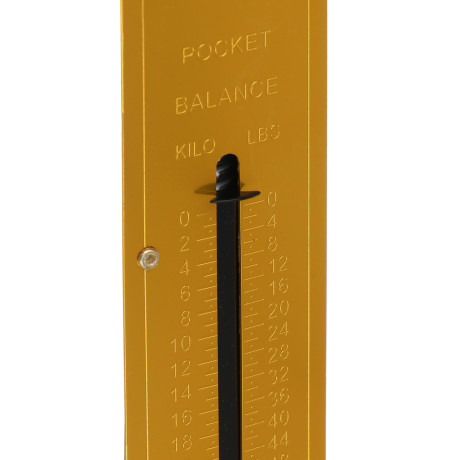 VETTA Безмен вертикальный, 25кг, металл