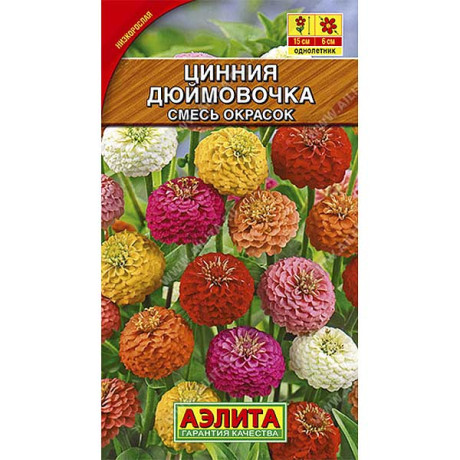 Циния Дюймовочка Аэлита Ц х10