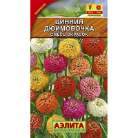 Циния Дюймовочка Аэлита Ц х10