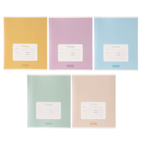 Тетрадь школьная 18л. в линейку ClipStudio, БЕЛЫЕ ЛИСТЫ, обл. пластик, скрепка