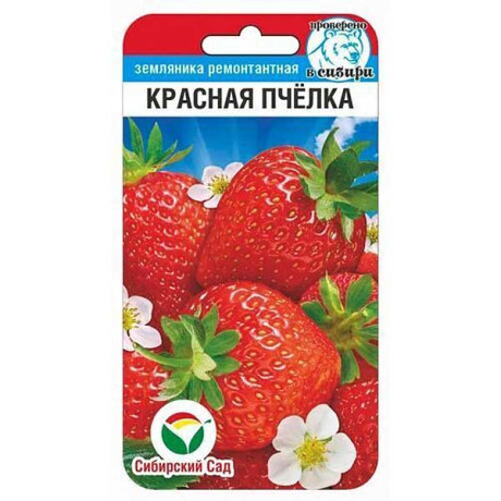 Земляника Красная пчелка СибСад Ц