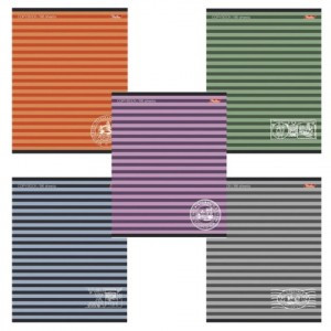 Тетрадь 96 л., HATBER, линия, обл. мелов.  картон, "Полосочки", 96Т5B2, T150306