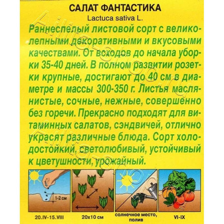Семена Салат Фантастика  Аэлита Ц x10