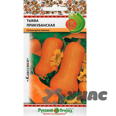 Тыква Прикубанская НК Ц