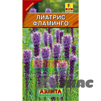 Лиатрис Фламинго колосковая Аэлита Ц
