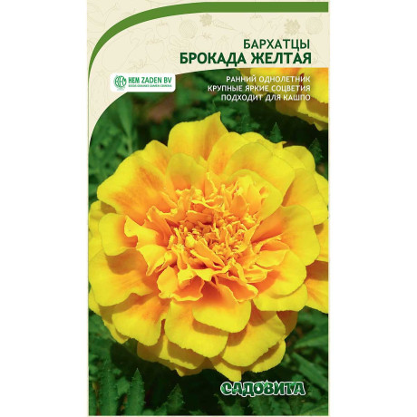 Бархатцы Брокада желтая 0,3гр Садовита Ц