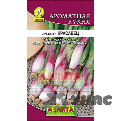 Лук батун Красавец Аэлита Ц