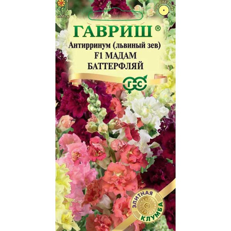 Львиный зев Мадам Баттерфляй Гавриш Ц
