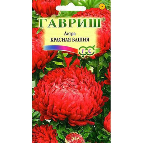 Астра Красная башня Гавриш Ц