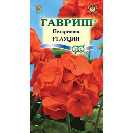 КОМ Пеларгония Луция Гавриш Ц