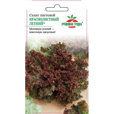 Салат Краснолистный летний (лист.) Седек Ц