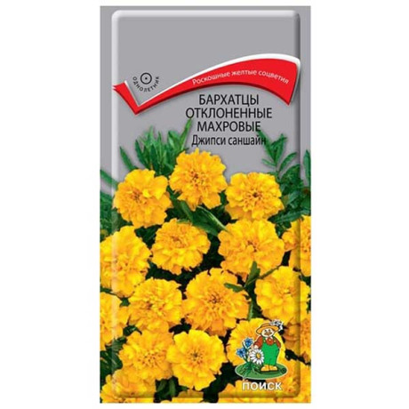 Бархатцы Джипси саншайн откл махр Поиск Ц