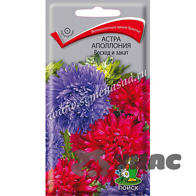 Астра Апполония Восход и закат Поиск Ц
