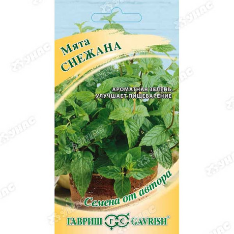 Мята Снежана Гавриш Ц