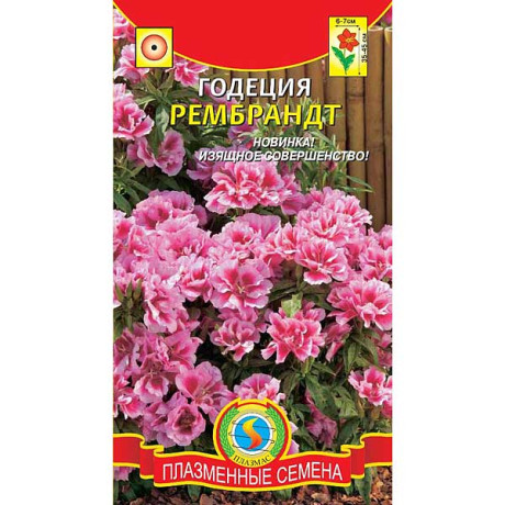 Годеция Рембрандт Плазма Ц