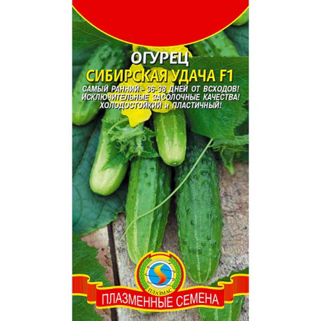 Огурец Сибирская удача Плазма Ц