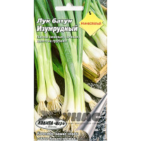 Лук батун Изумрудный Аэлита Ц