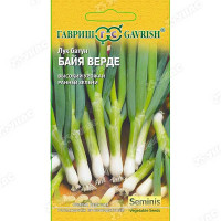 Лук батун БайяВерде Гавриш Ц