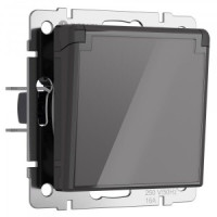 Werkel мех. роз. СУ 1 мест. 16A земля шторки крышка IP44 (графит акрил) W1171244 a064092