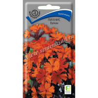 Лихнис Вулкан Поиск Ц