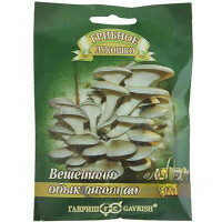Мицелии Вешенка Обыкновенная Гавриш Ц
