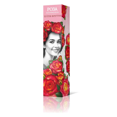 Роза флорибунда Тутти Фрутти Садовита