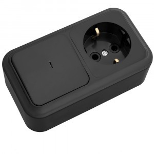 Bylectrica ПРАЛЕСКА Блок (1 выкл. + роз земля) ОУ инд. черный, (В-РЦ-567 черный)