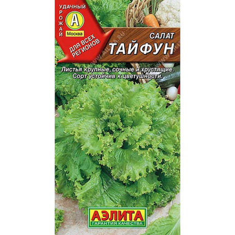 Салат Тайфун листовой Аэлита Ц