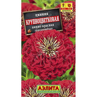 Циния Крупноцветковая винно-красная Аэлита Ц