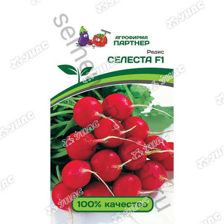 Редис Селеста Партнер Ц