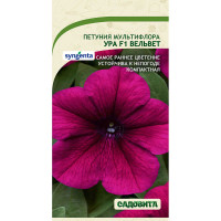 Петуния Ура F1 Вельвет мультифлора 7др Syngenta/Садовита Ц