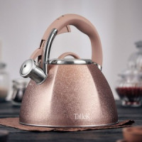 Чайник метал. со свистком AIGRETTE 3л, ручка нейлон, нерж.сталь TR-11354 Taller