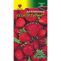 Земляника Лесной гигант ЦветСад Ц