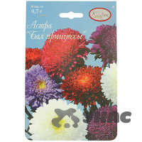 К Астра Бал принцессы смесь Каприс