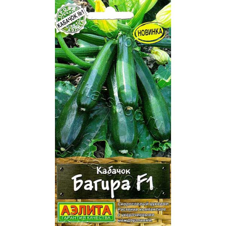 Кабачок Багира Аэлита Ц