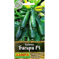 Кабачок Багира Аэлита Ц