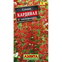 Сальвия Кардинал Аэлита Ц