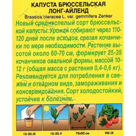 Капуста брюссельская Лонг-Айленд Аэлита Ц