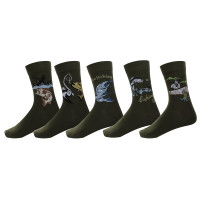 Носки мужские тм TURKAN, р.41-47, разноцветные, #BT9514-1