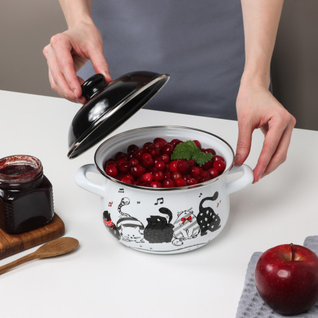 VETTA Хвостатые друзья Кастрюля эмалированная, 18см, 2,0л, индукция